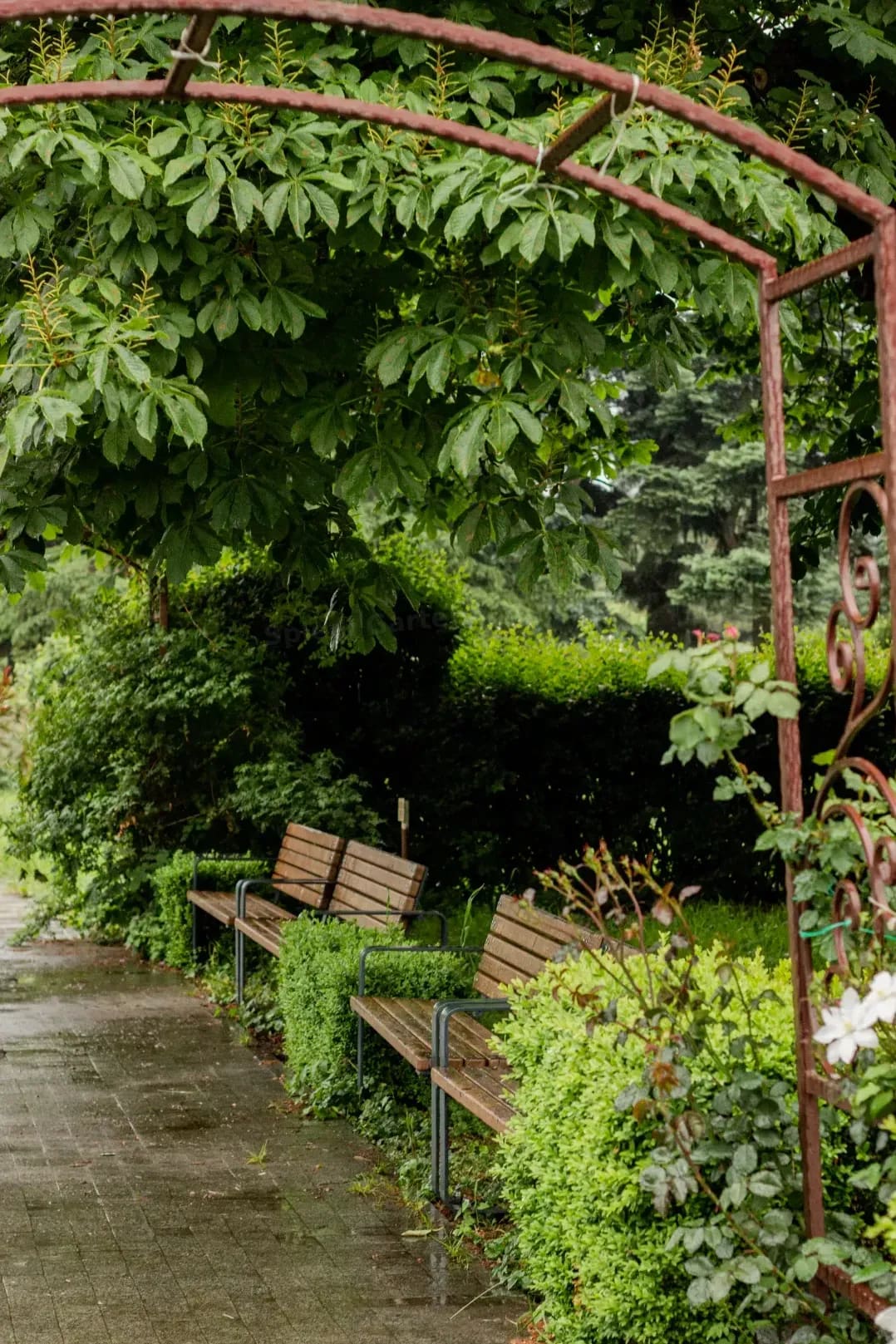 Bepflanzung und kleine Gartenumgestaltung